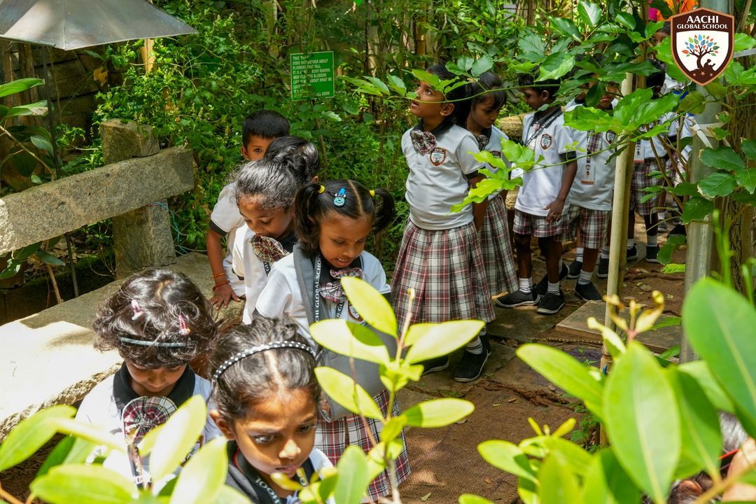 Educational Trip Experience and Learning Opportunities for Nursery Students