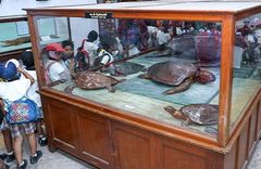 Museum - photo 1